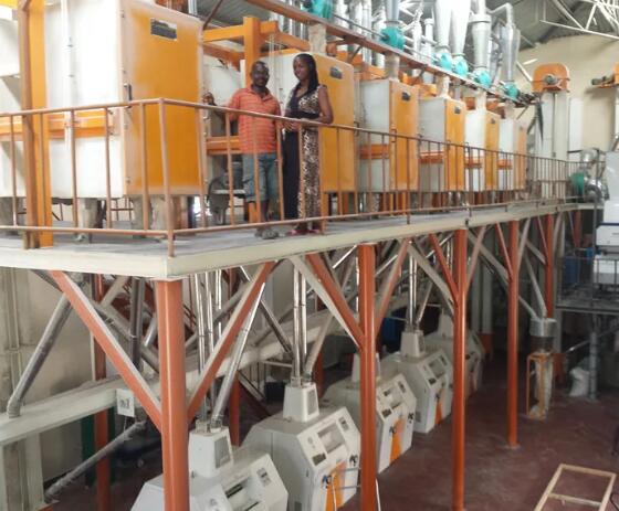 Maize milling machines