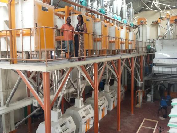 TANZANIA 50-80TPD Steel Frame Maize Flour Mill Plant