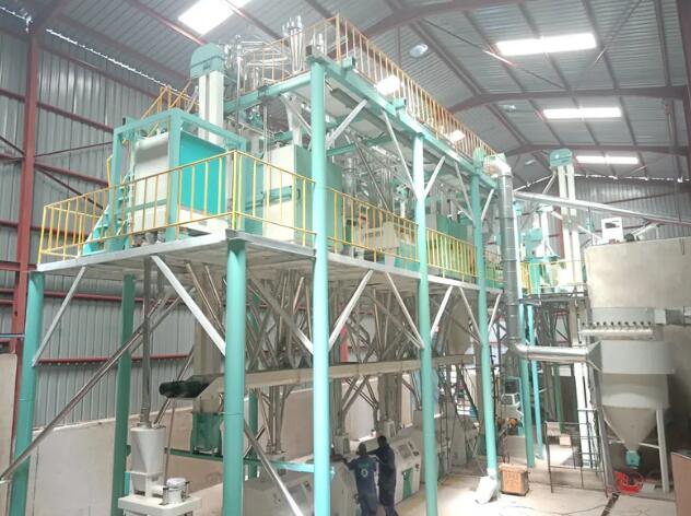 wheat flour mill plant