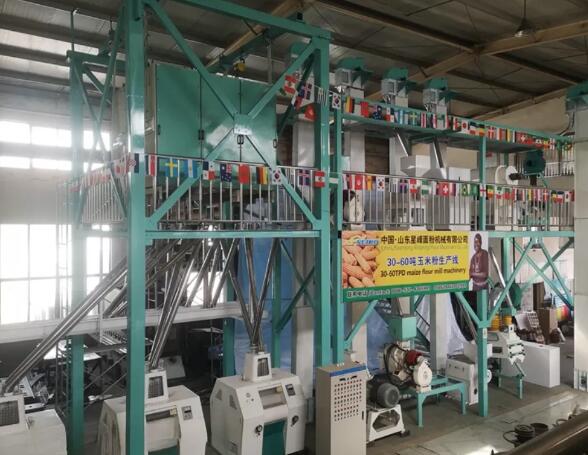 MALAWI 60TPD Steel Frame Maize Flour Mill Plant