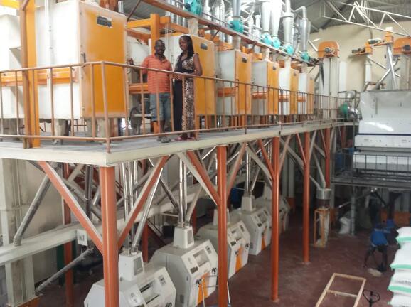 Fine-tuning maize roller mills