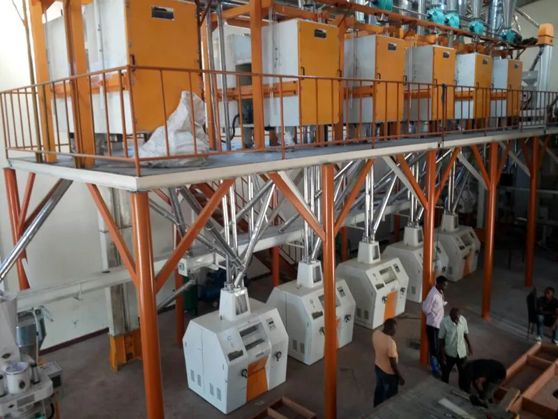 TANZANIA 50-80TPD Steel Frame Maize Flour Mill Plant
