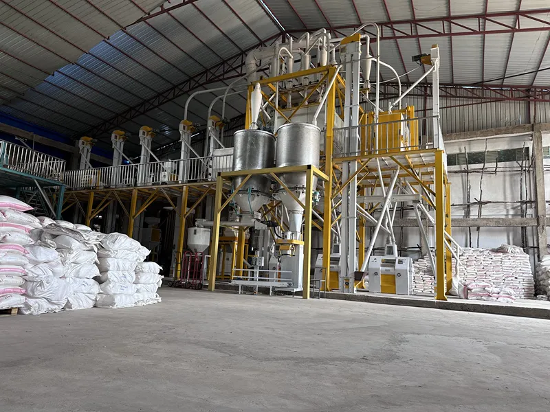 ETHIOPIA 50TPD Steel Frame Maize Flour Mill Plant