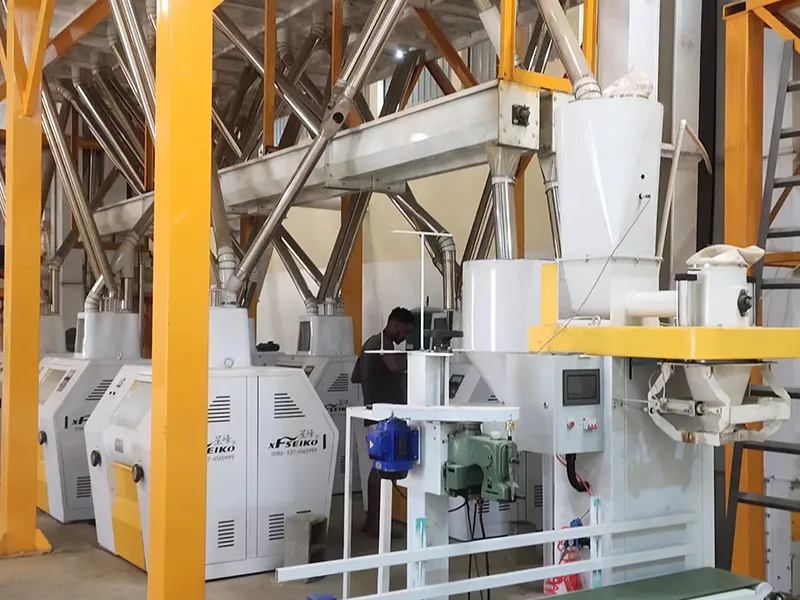 ANGOLA 150TPD-200TPD Steel Frame Maize Flour Mill Plant