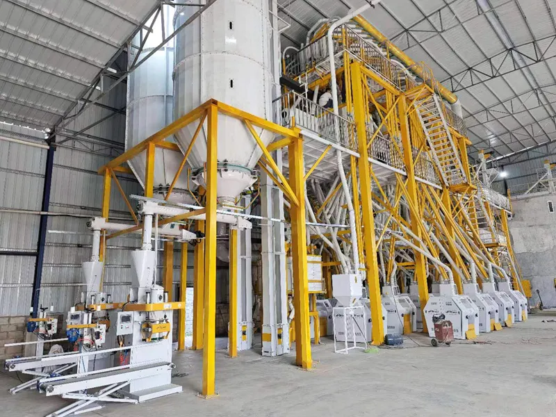 SOUTH AMERICA 150TPD Steel Frame Wheat Flour Mill Plant