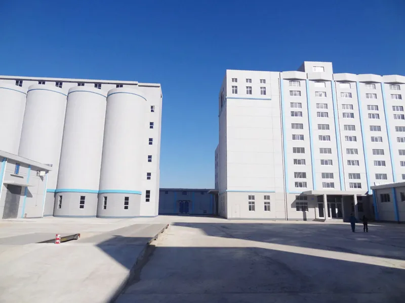 300TPD Concrete Structure Wheat Flour Mill Plant