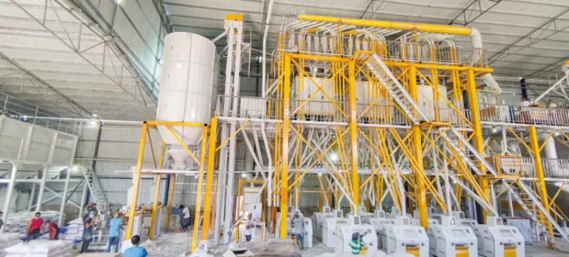 260TPD Steel Structure Wheat Flour Mill Plant