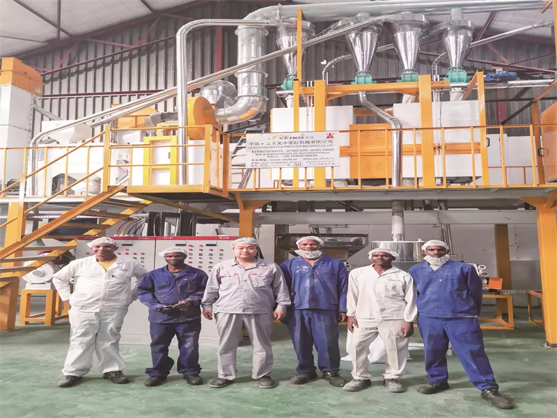 Swaziland 30-40TPD Steel Frame Maize Flour Mill Plant