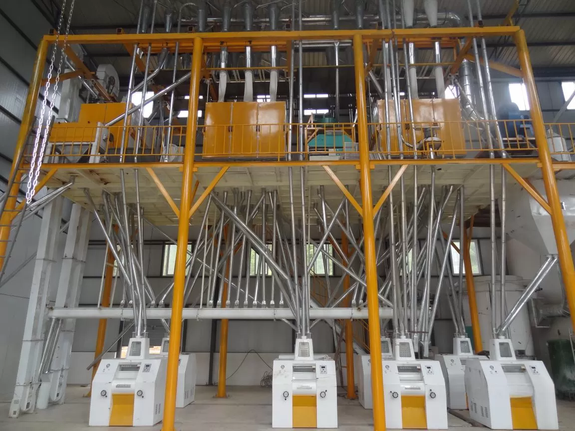 South Korea 100TPD Steel Frame Wheat Flour Mill Plant