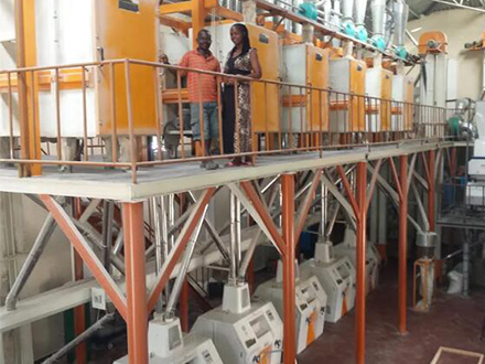 What are the Components of Maize Milling Machine?