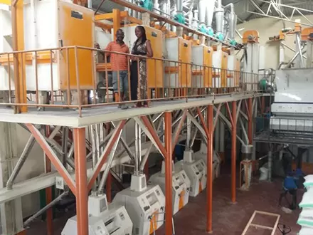 Custom Maize Roller Mill Solutions for Enterprise-Level Operations